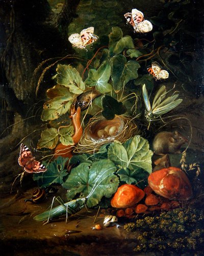 Une nature morte de sol forestier avec des fruits et des papillons - Elias van den Broeck