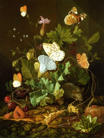 Nature morte d