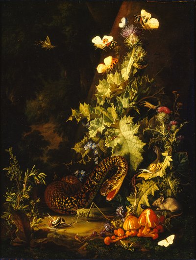 Nature morte avec un serpent, début du 18ème siècle - Elias van den Broeck