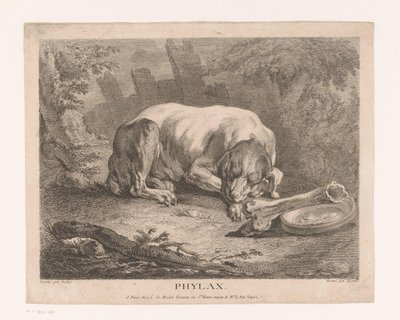Chien endormi - Élie du Mesnil