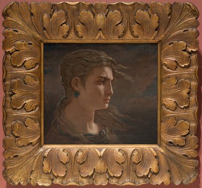 Tête de Méduse - Elihu Vedder