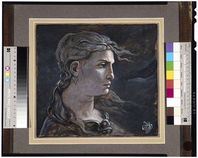 Tête de Méduse, 1878 - Elihu Vedder
