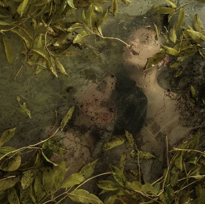 Caché au paradis - Elinleticia Högabo