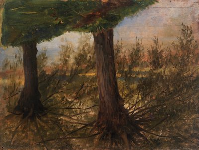 Arbres au bord d