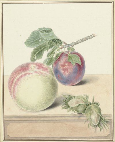 Pêche, une prune avec feuille et quelques noix - Elisabeth Geertruida van de Kasteele