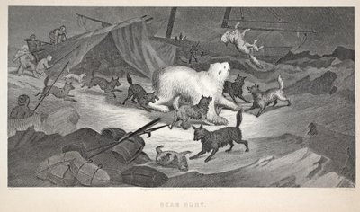 Chasse à l