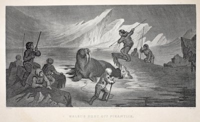 Chasse au morse au large de Pikantlik, illustration de 