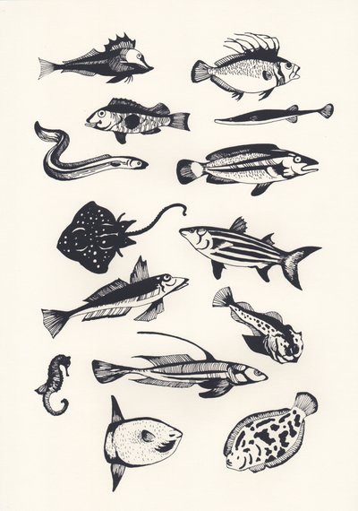 Poisson monochrome - Eliza Southwood