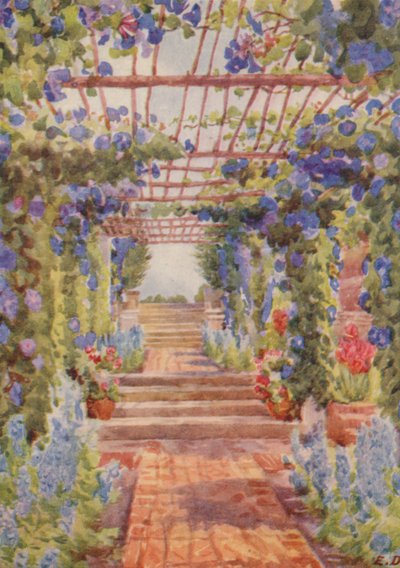 Pergola couverte d