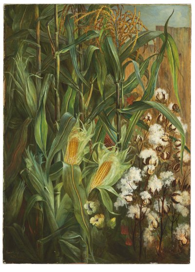 Les Deux Rois : Maïs et Coton - Elizabeth H. Remington