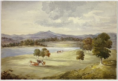 Vaches dans le paysage - Elizabeth Murray