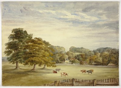 Six vaches paissant devant une maison de campagne - Elizabeth Murray