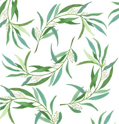 Feuilles d