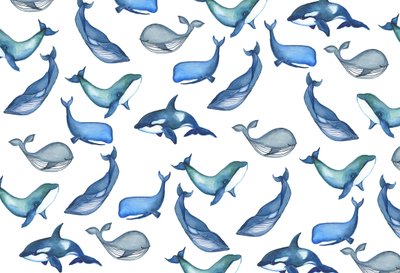 Baleines, 2017 (aquarelle) - Elizabeth Rider