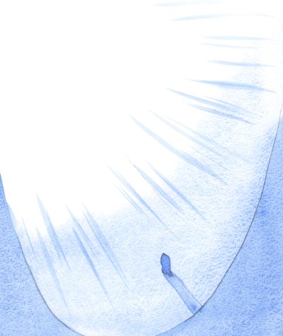 Toute la vie d