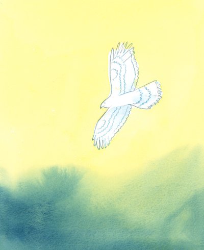 Dans sa justice, Dieu est comme un énorme oiseau de proie, qui voit de loin la plus petite créature sur terre et tous ses mouvements - Elizabeth Wang