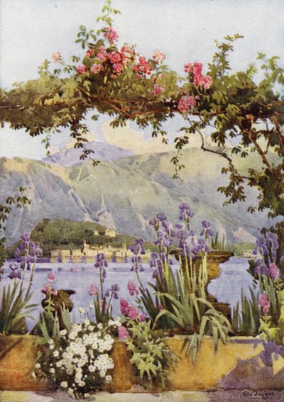 Un jardin à Cadenabbia, Lac de Côme - Ella Du Cane