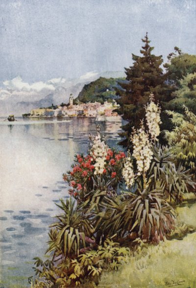 Un groupe de yuccas, Villa Melzi, Lago di Como - Ella Du Cane