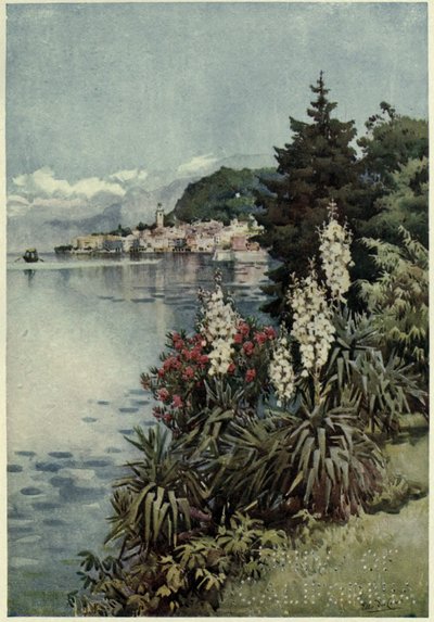 Un groupe de yuccas, Villa Melzi, Lago di Como, Illustration de 
