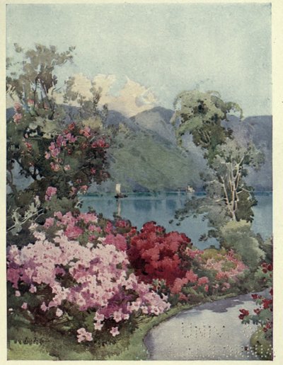 Azalées, Lac de Côme, Illustration de 