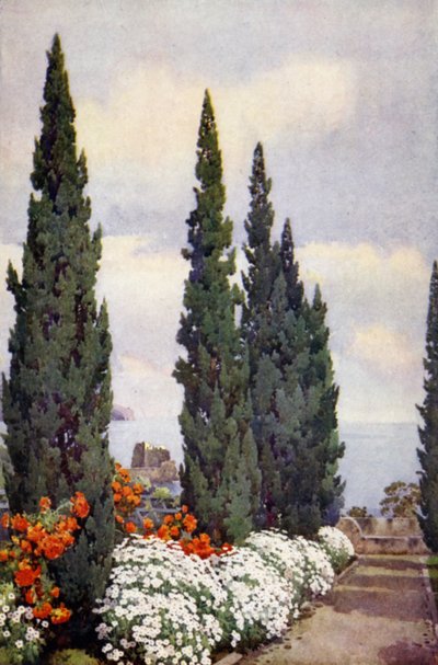 Avenue des Cyprès, Quinta Stanford - Ella Du Cane