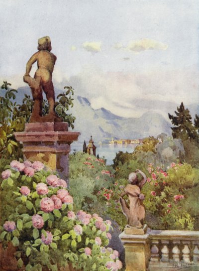 Hortensias, Isola Bella, Lac Majeur - Ella Du Cane