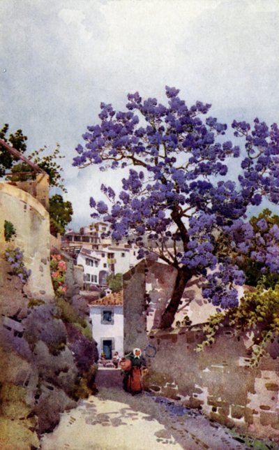 Arbre de jacaranda (lithographie en couleur) - Ella Du Cane