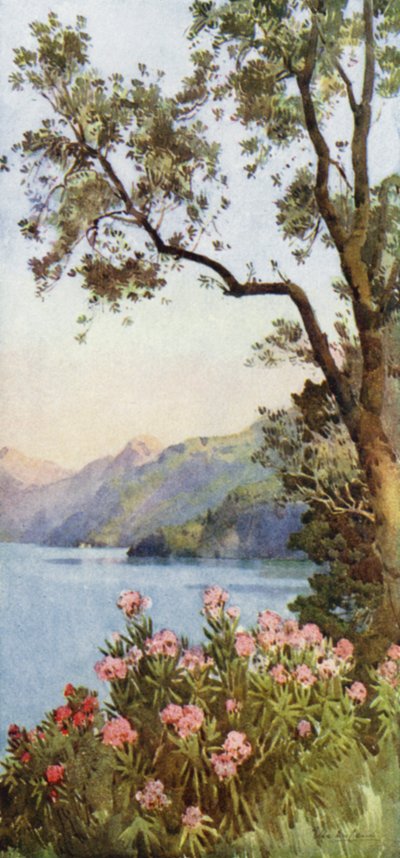 Lago di Lecco, Lago di Como - Ella Du Cane