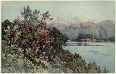 Roses, Villa Carlotta, Lago di Como, Illustration de 
