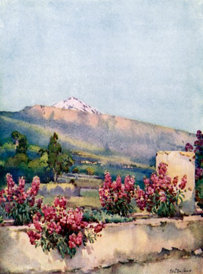 Le Pic, depuis Villa Orotava - Ella Du Cane
