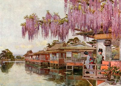 Wistaria, Nagaoka (lithographie couleur) - Ella Du Cane