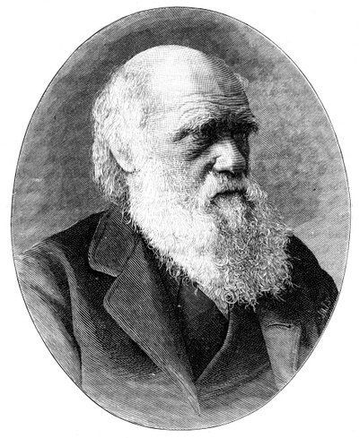 Charles Darwin, naturaliste anglais du 19ème siècle, 1900 - Elliott and Fry