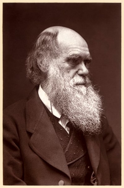 Charles Darwin : naturaliste anglais - Elliott und Fry Studio