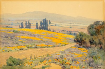 Paysage de Printemps en Californie, ca. 1920 - Elmer Wachtel