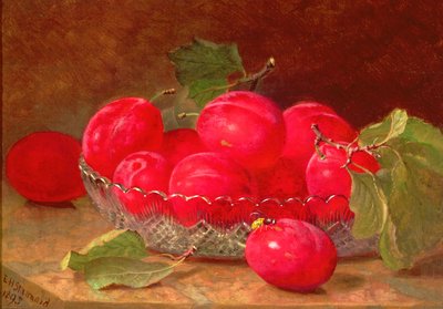 Nature morte, 1895 - Eloise Harriet Stannard