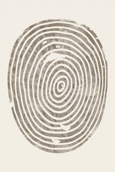 Anneaux concentriques de bois - Ema Paraschiv