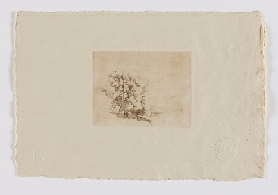 Connecticut Hillside (portefeuille fm.) - Emil Carlsen