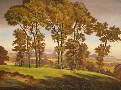 Paysage avec arbres - Emil Ernst Heinsdorff
