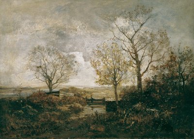 Paysage d