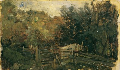 Étude de la nature à Goisern - Emil Jakob Schindler