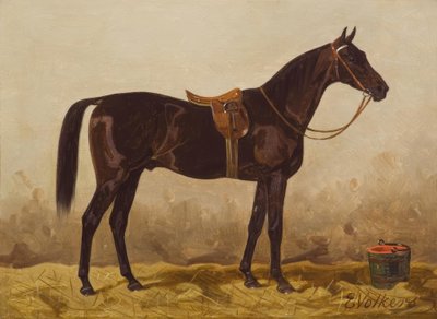 Cheval noir sellé - Emil Volkers