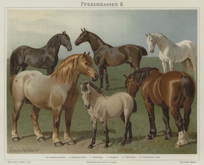 Races de chevaux - Emil Volkers