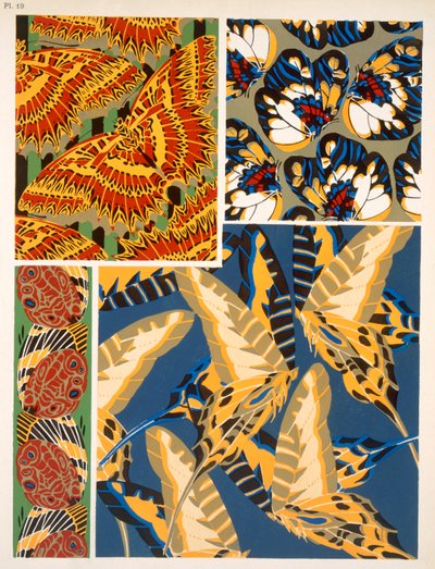 Motif d