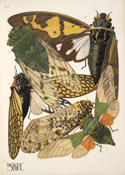 Planche 2 de Insectes, pub. années 1930 - Émile Allain Séguy