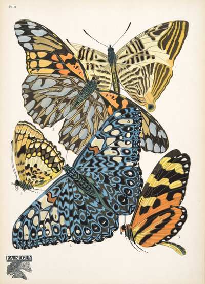 Planche 3, de Papillons, pub. 1925 - Émile Allain Séguy
