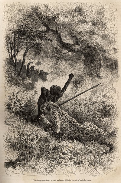 Un léopard saute sur un homme et le mord cruellement dans le dos, dans les environs de Bambare (Congo), gravure d