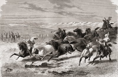 Gauchos argentins rassemblant des chevaux sauvages, illustration de 