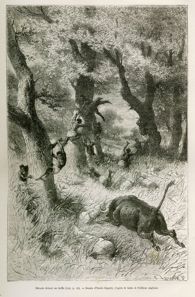 Déroute de l