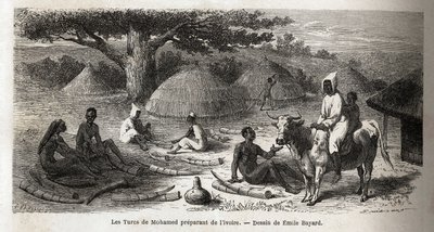 Préparation de l