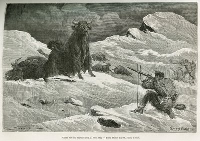 Scène de chasse au yak sauvage, dessin par Emile Bayard pour illustrer le voyage en Mongolie et au pays des Tangoutes de 1870 à 1873, par le lieutenant-colonel Prjewalski. Gravure dans Le Tour du monde - Emile Antoine Bayard